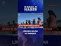 Gördüklerine İnanamadılar! Balina ve Yavrusunu Görmek İçin Yarıştılar