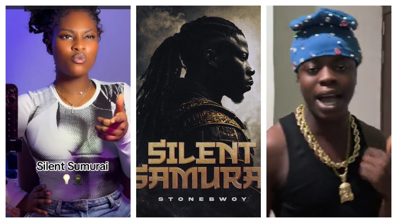 Stonebwoy Silent Samurai (Fan Cover)