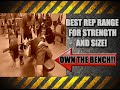 Best Rep Range To Build Size & Strength With The Bench Press Best Rep Range To Build Size & Strength With The Bench Press