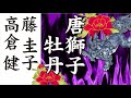 唐獅子牡丹  :  藤 圭子  &  高倉 健