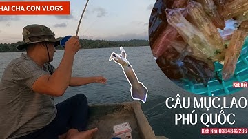 Câu Mực Lao - Câu Mực Biển Phú Quốc // Squid Fisnhing✅