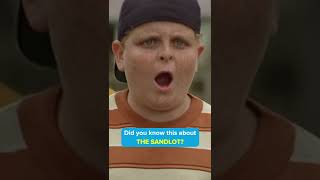 Did You Know This In The Sandlot