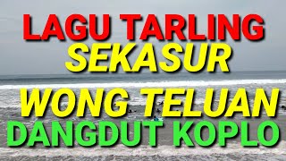MlLAGU TARLING SEKASUR WONG TELUAN DANGDUT KOPLO