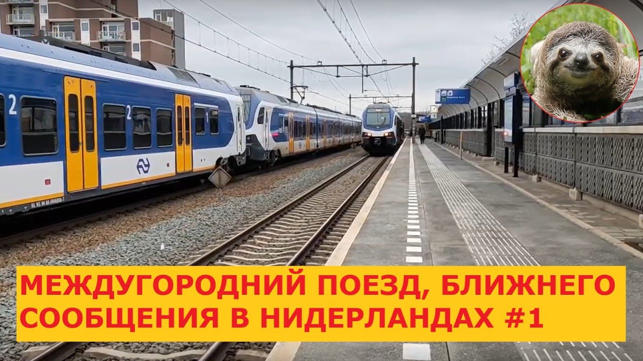 Москва-бишкек жд билеты. Когда будет ближайший поезд. Когда будет ближайший поезд. Расписание поездов красноярск москва. Ласточка москва-курск расписание.