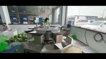 How to Grade Crab by Weight? Crab Weight Grader