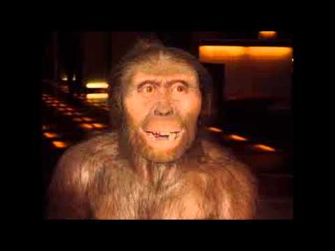 Video: Schokkende Experimenten: Mensachtige Apen - Alternatieve Mening