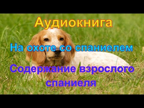 "На охоте со спаниелем" Валов Н.А. "Содержание взрослой собаки"