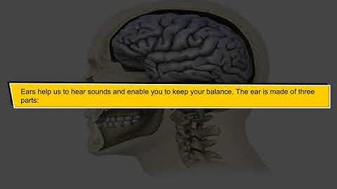 Incredible Science Class 5 - Chapter 8 - Page 87