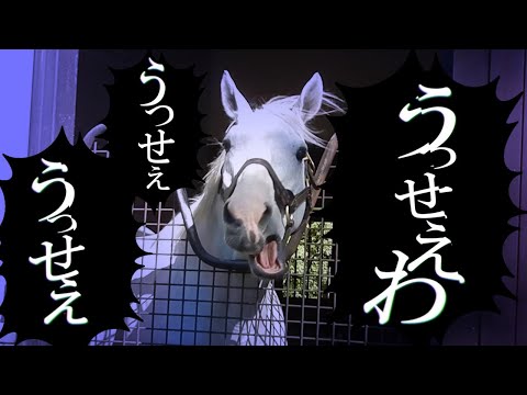 ゴールドシップ　まとめセット ゴールドシップまとめ - YouTube