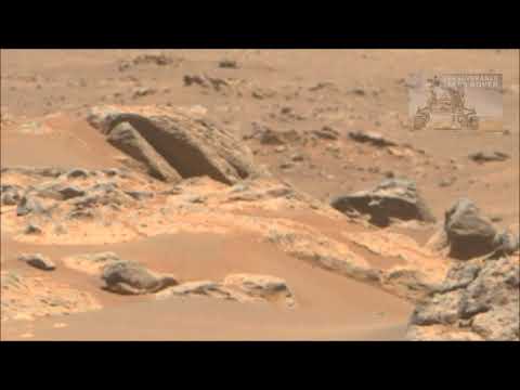 Video: Has The Rover Found The Remains Of Marine Animals? - Alternative View