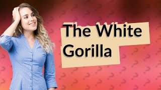 Who Is White Gorilla?