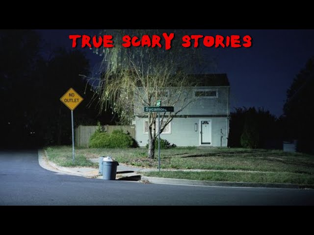 True Scary Stories to Keep You Up At Night (Best of Horror Megamix Vol. 20) class=