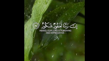 آيات غفران الذنوب من القرآن الكريم 🌹 فارس عباد حالات واتس اب دينية قصيرة مؤثرة تلاوة خاشعة