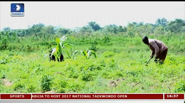 Promoting Food Security In Nigeria Pt 1 | Question Time |