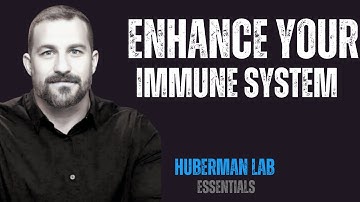 USING YOUR NERVOUS SYSTEM TO ENHANCE YOUR IMMUNE SYSTEM | MOTIVATIONAL SPEECH || BY ANDREW HUBERMAN