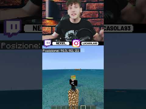 SEED ASSURDO per