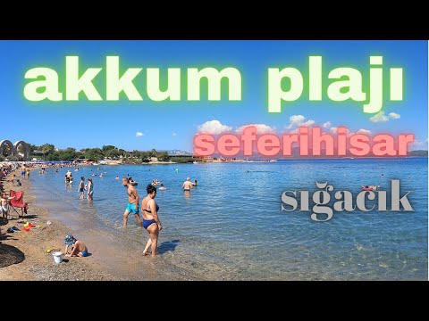 akkum koyu sıgacık