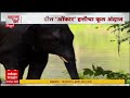 Omkar Elephant : ओंकार हत्ती सध्या सावंतवाडीतील वाफोली परिसरात धरणात पाण्यात आनंद लुटतोय