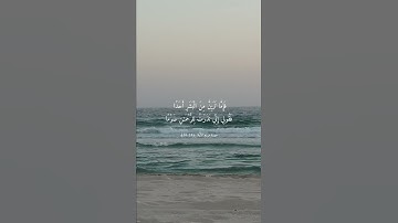 سورة مريم الآية ( ٢٤ - ٢٦ )
