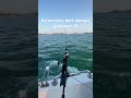 Sinarit avına çıkarken 😈😈#balıkavı #fishing #fishingvideo #fish #bigfish #kalamar #bigfish #squid