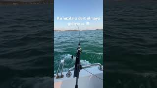 Sinarit avına çıkarken 😈😈#balıkavı #fishing #fishingvideo #fish #bigfish #kalamar #bigfish #squid