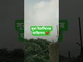 সূরা ইয়াসিনের ফজিলত 💕#viral #amal #trending #waz #shortvideo #islamic #motivation #ytshorts