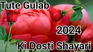 टूटे गुलाब कि दोस्ती शायरी 🌹🌹|| Tute Gulab Ki Dosti Shayari 🌹❤️|| Hindi Shayari 💘🌹 screenshot 3