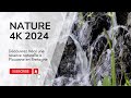 Nal  rserve naturelle  plouasne  nature 4k  2024