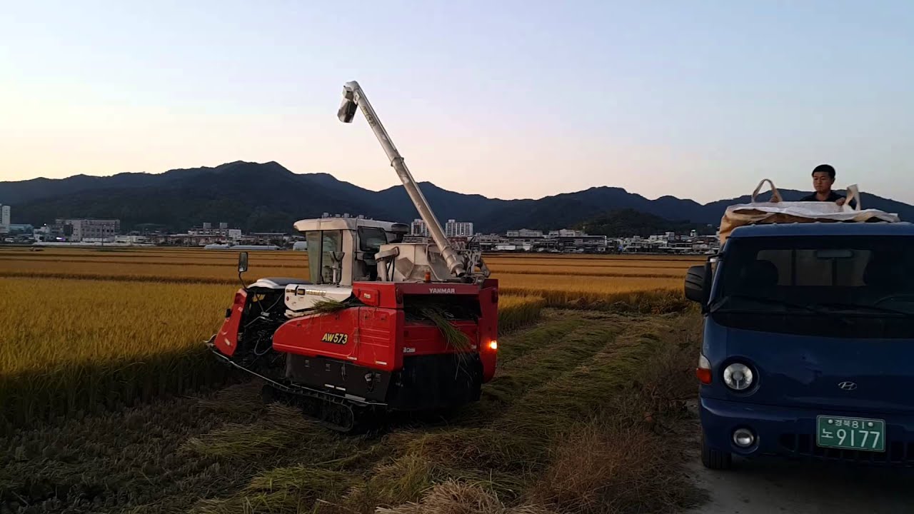 Panen padi camera iphone 8 plus apk