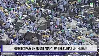 Muslim pilgrims scale Mount Arafat for peak of hajj