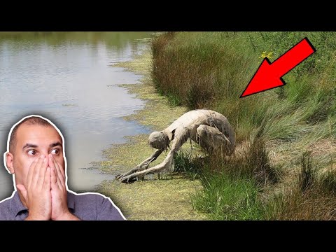 غابة هويا باكيو أخطر منطقة فى العالم بعد مثلث برمودا Osha Salah قصص 