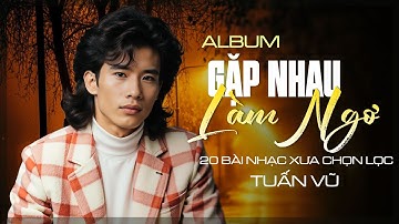 TUẤN VŨ Đặc Biệt - Tuyển Chọn Nhạc Vàng Xưa Hiếm Có Của TUẤN VŨ Nghe Mờ Ê Mê...