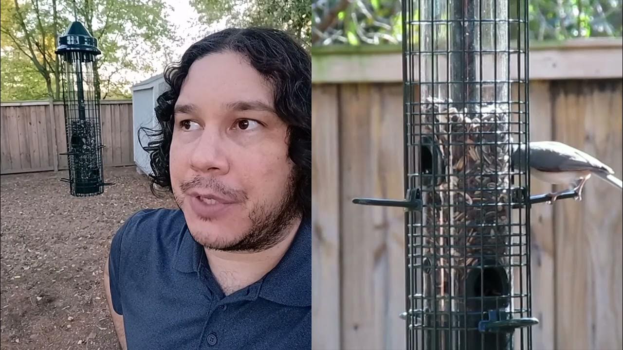 Squirrel Buster Feeder YouTube