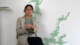 Building the Future  Maya Lin