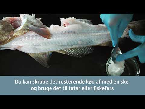 Video: Sådan Kontrolleres Fiskens Friskhed