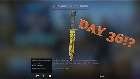 opening a case everyday until I get a knife (Day 36)