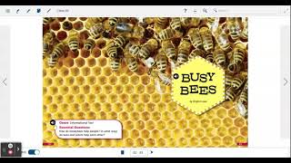 Open Court Unit 4 Week 4 Busy Bees