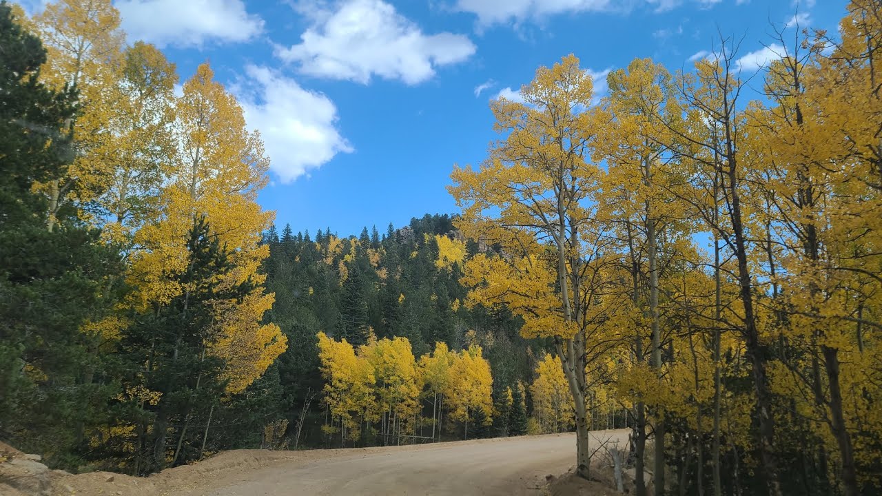 Autumn Stage Rd Old Stage Road East | Fall Colors in Colorado - YouTube