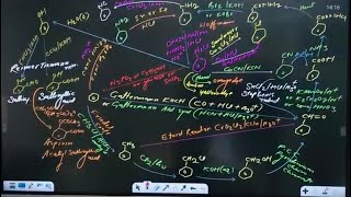 40 Marks Guaranteed in 15 Minutes 🔥Organic Chemistry Mind Map | NEET 2024