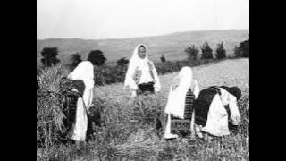 Au plecat olteni la coasă / They went away to scythe