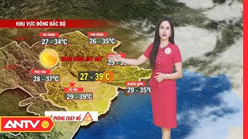 Dự báo thời tiết tối 28/6: Bắc bộ, Trung bộ nắng nóng như đổ lửa | ANTV