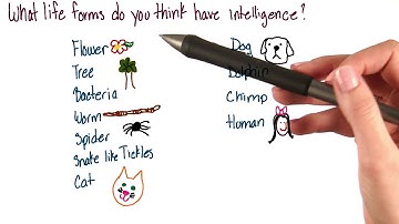 What is intelligent life - Intro to Psychology