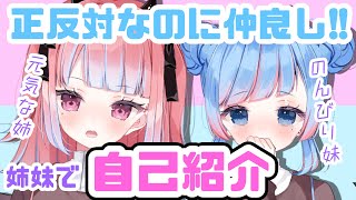 「【自己紹介】はじめまして、朝久間姉妹です【新人姉妹Vtuber】」のサムネイル