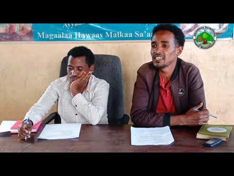 Wiirtuuleen Amantii Waaqeffannaa Godinaa Caasaa DhHAW Sad Godinaleetti Hojii Amantichaa Hojjatani