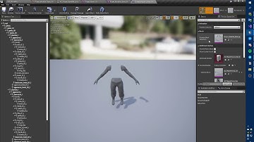 UE4 - Skeleton (Preview Mesh Animation) problem