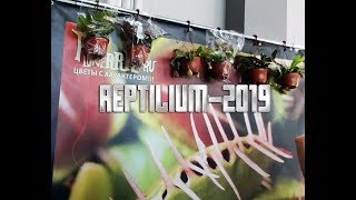 Рептилиум 2019. Приглашение на лекции Сергея Куницына