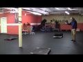 Dog Training Pickup Board and Train Dog Training Pickup Board and Train