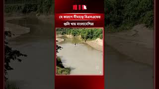 যে কারণে সীমান্তে বি'এসএফের গু'লি খায় বাংলাদেশিরা #BSF #Bangladesh #border #BorderSecurity #npbnews