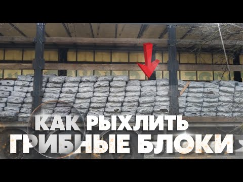 Рыхление компоста,грибные блоки фаза 2.Выращивание шампиньонов.