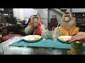 Jk Shaki eat Rambutan and Pineapple